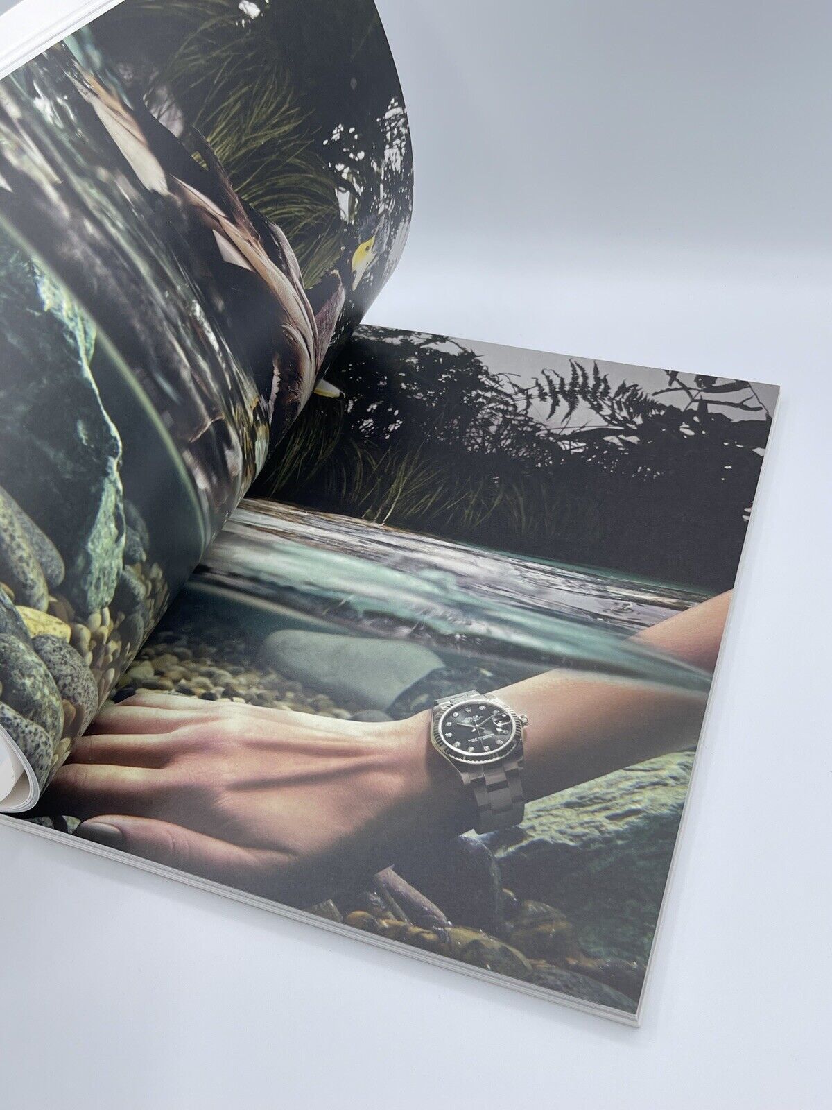 Rolex Daytona Datejust Sky Dweller Lady Oyster Perpetual Day Date magazine